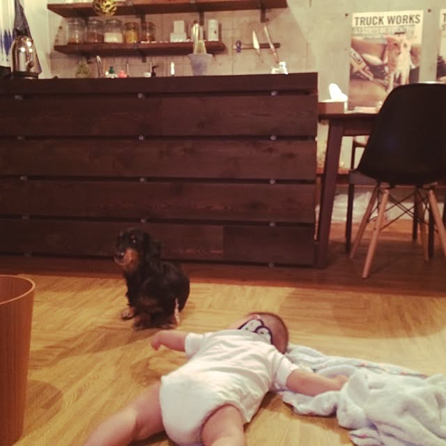 torinokoさんの実例写真