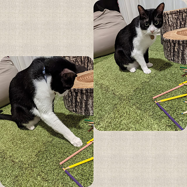 Helloさんの実例写真