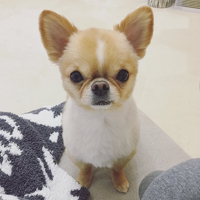 haruhinaさんの実例写真