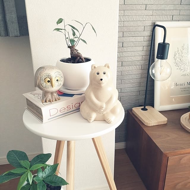 tan5さんの実例写真