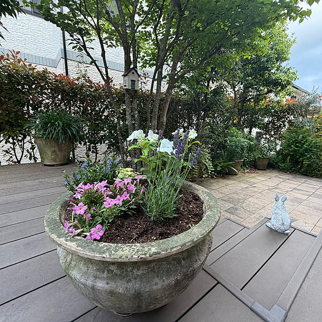 Yumiさんの実例写真