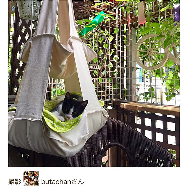 butachanさんの実例写真