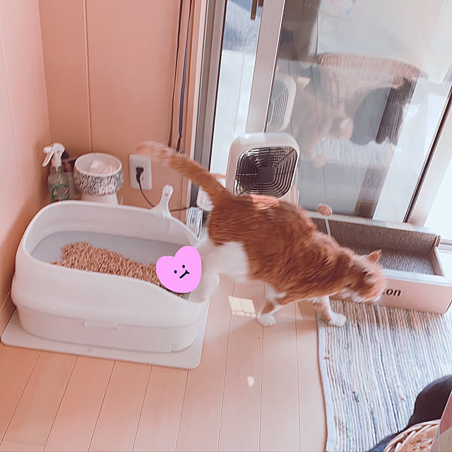 mako1210さんの実例写真