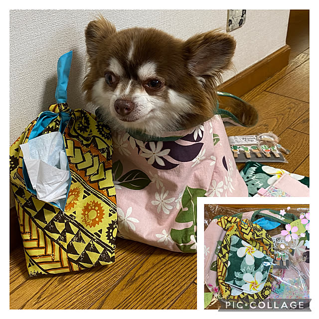 chIoeさんの実例写真