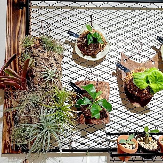 Rさんの部屋