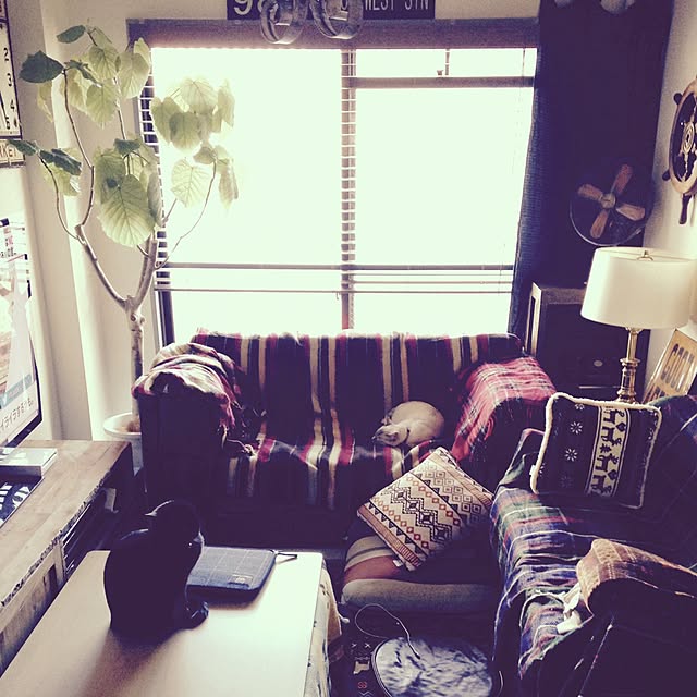 DailyRoomclip