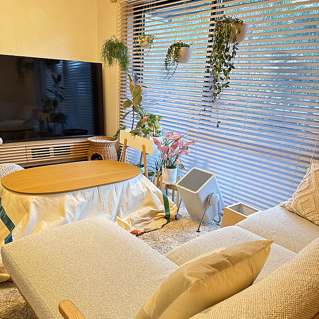 chinaさんの部屋