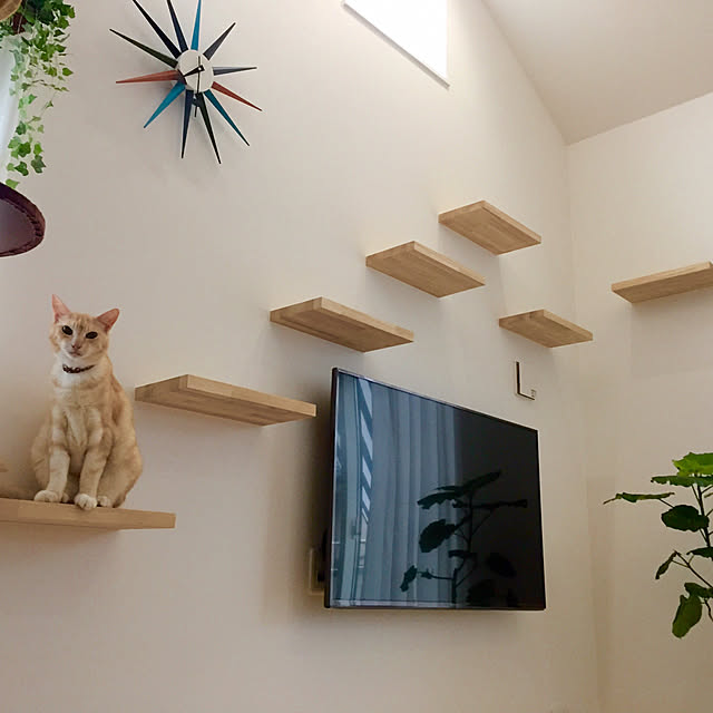 Minakoさんの実例写真
