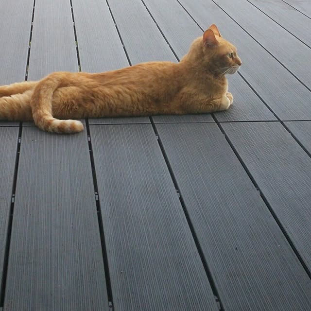 minmin0209さんの実例写真