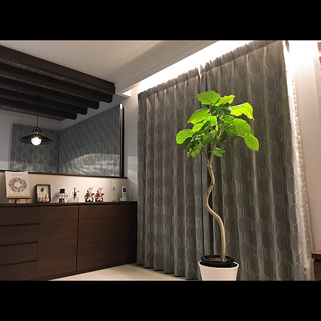 tigerさんの実例写真