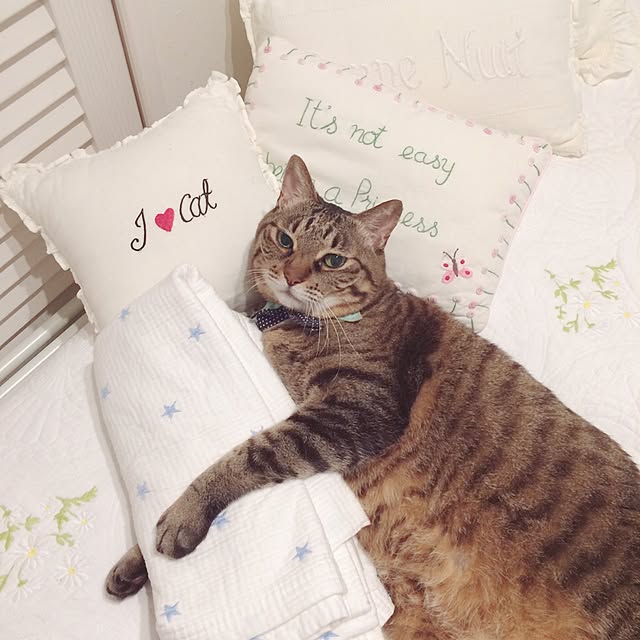 lovecatさんの実例写真