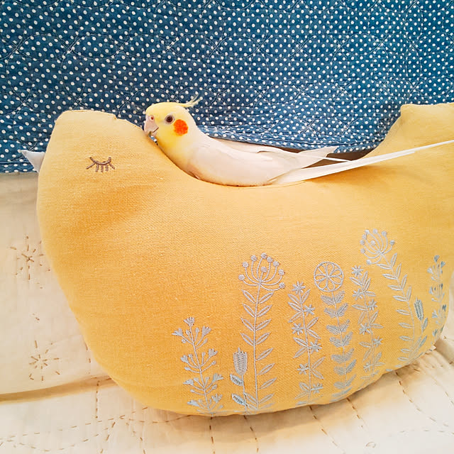 keikorinさんの実例写真