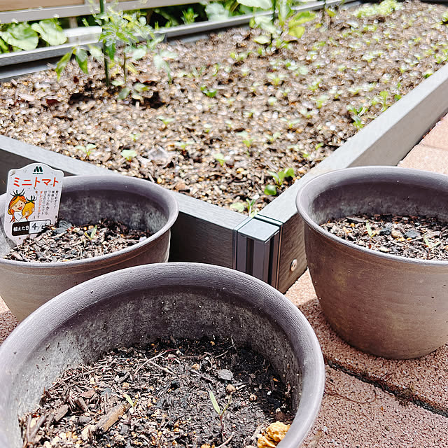 chanduさんの部屋