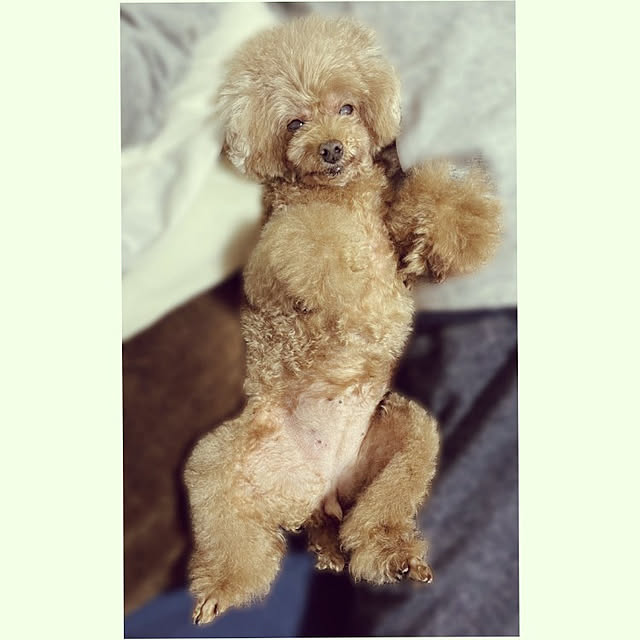 yuuさんの実例写真