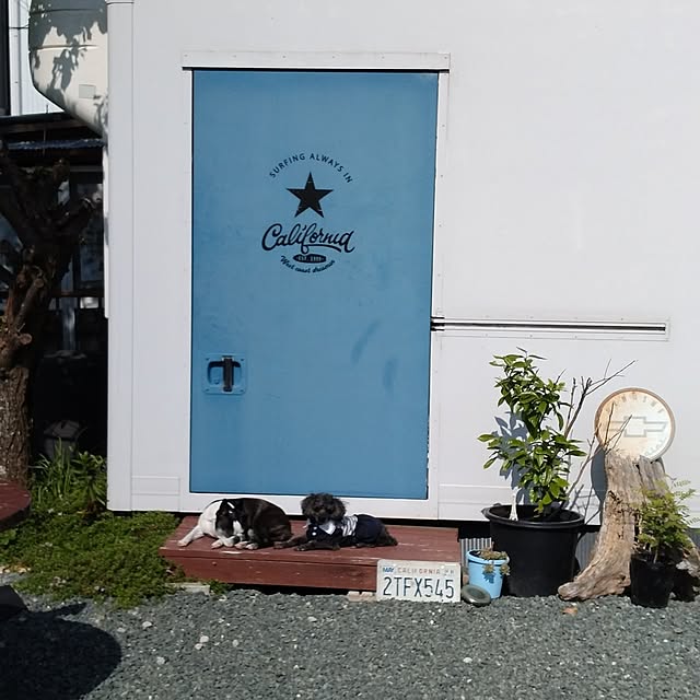 boston5757さんの実例写真