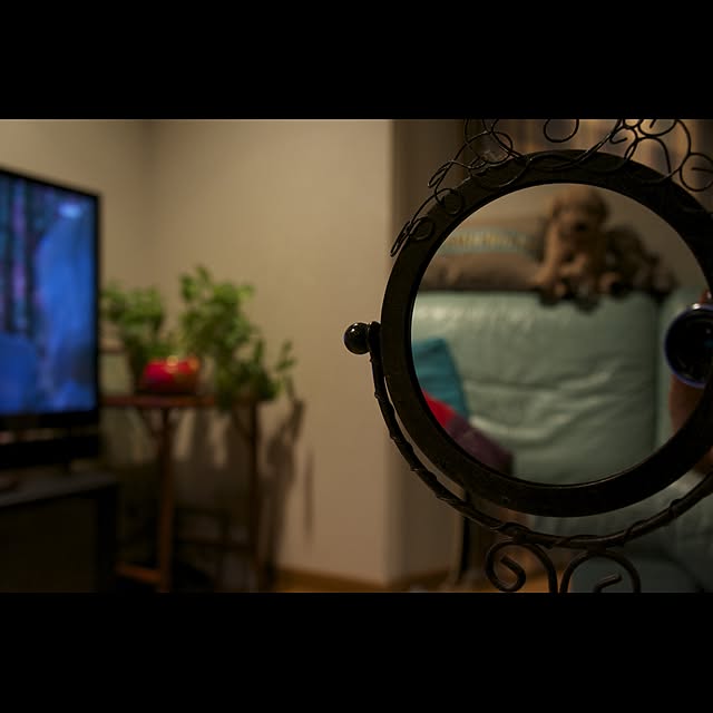 cootan195さんの実例写真