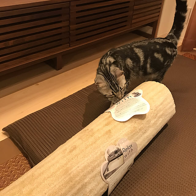 mkmkmoominさんの実例写真