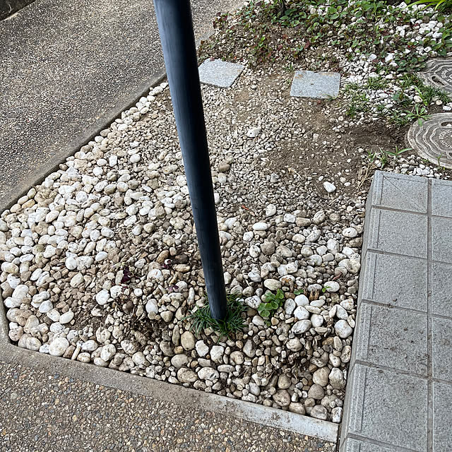 kikiさんの部屋