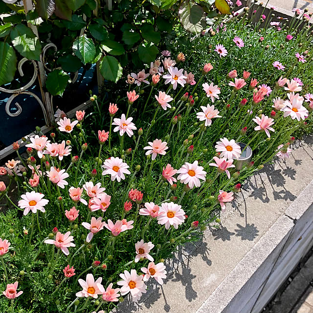 tomoさんの実例写真