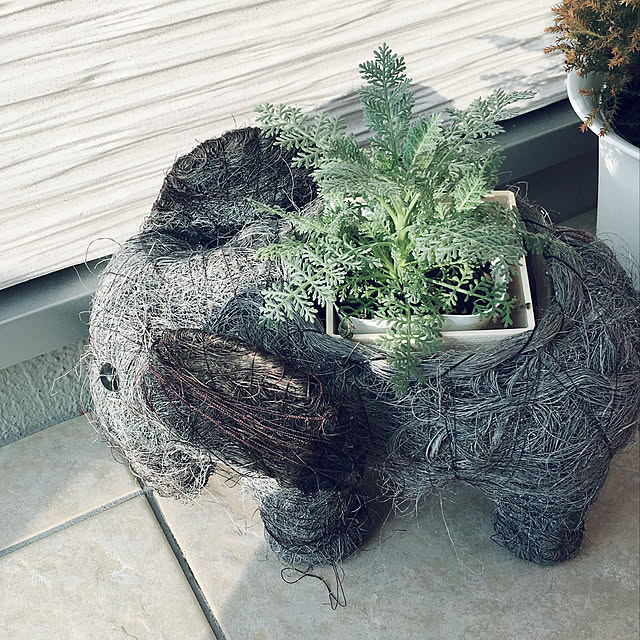 minmim.さんの実例写真