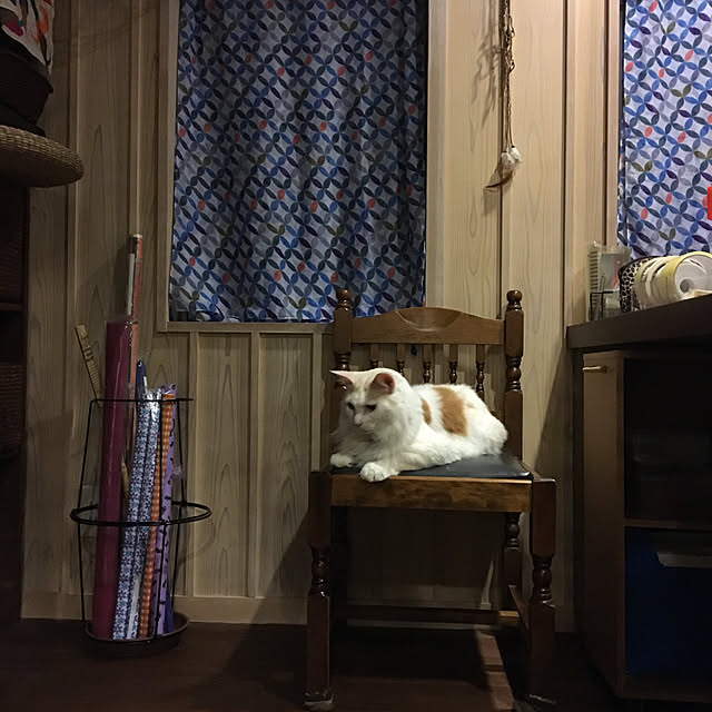 shigimiさんの実例写真