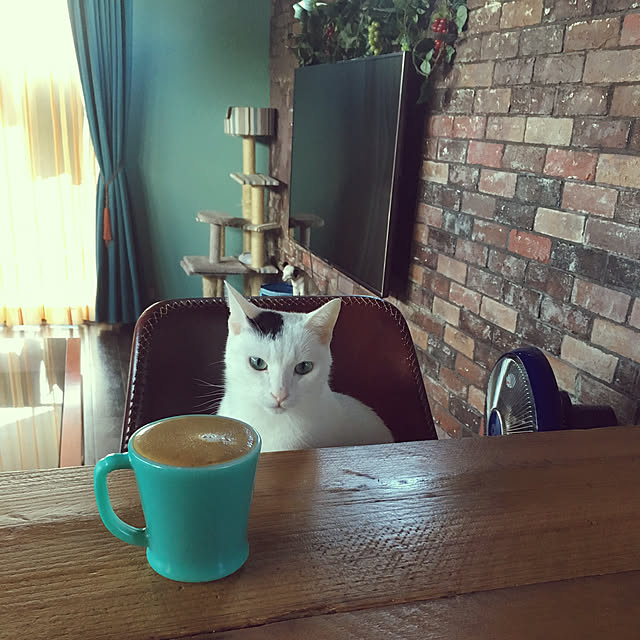 hakuさんの実例写真