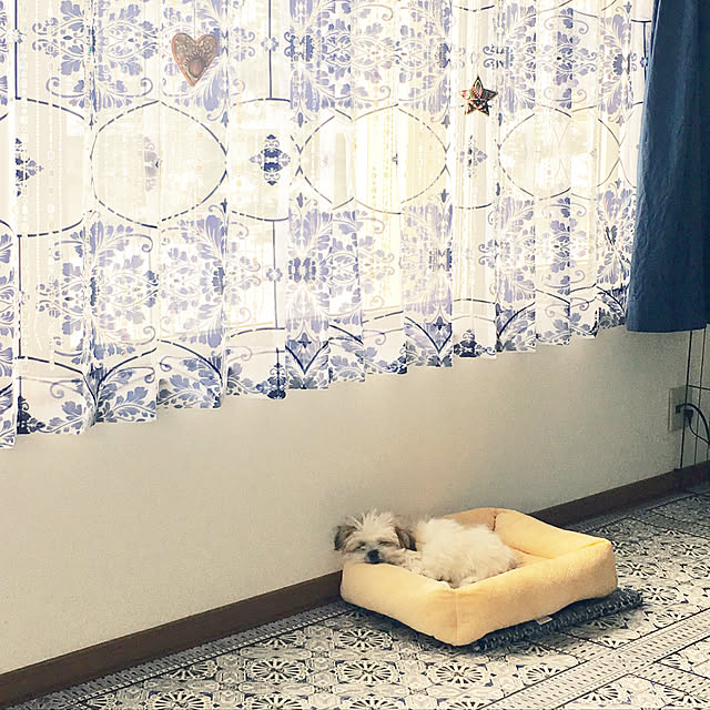 Harukaさんの実例写真