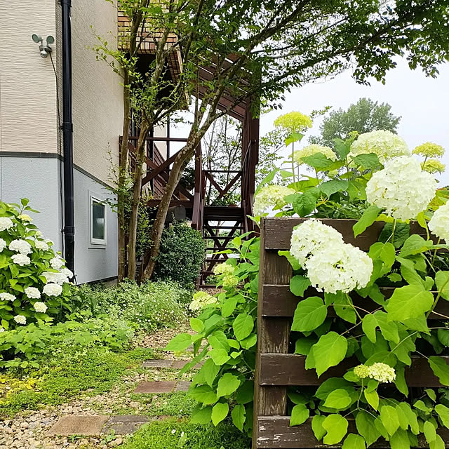 ai.happyplaceさんの実例写真