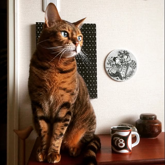 valekさんの実例写真