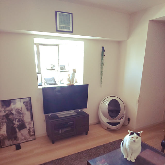 noguchiken0102さんの実例写真