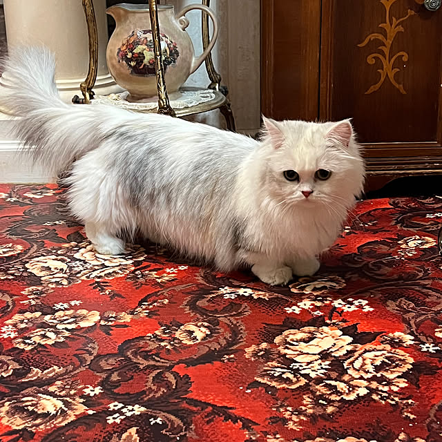 AYUKOさんの実例写真