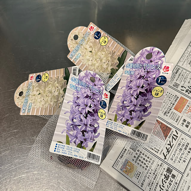 maric323さんの実例写真