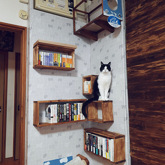 kazumiさんの実例写真