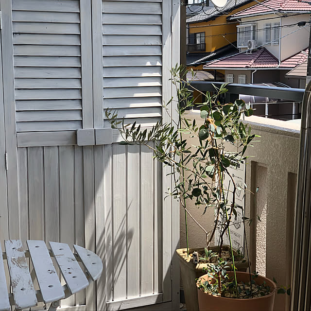 pingub_dさんの実例写真