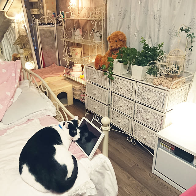 asuminさんの実例写真