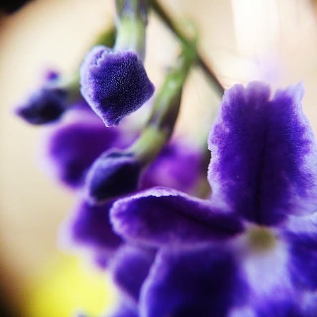 poemwalkさんの実例写真