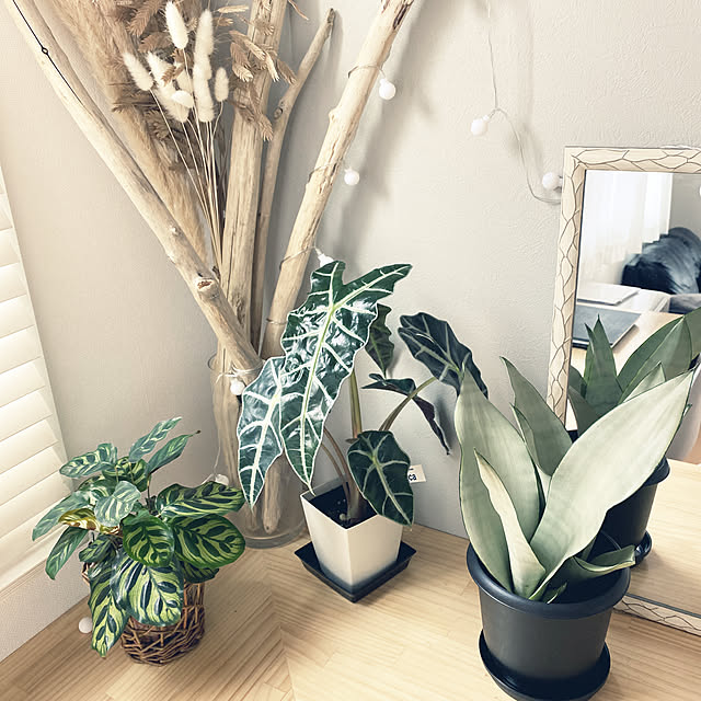 simplelife.aさんの実例写真