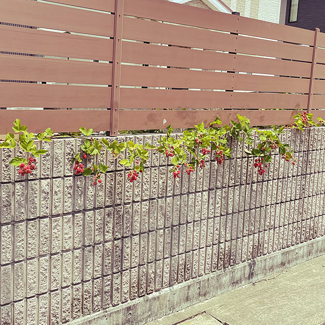 micaさんの実例写真