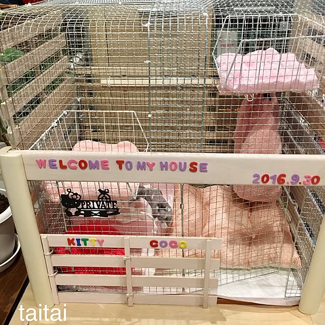 taitaiさんの実例写真