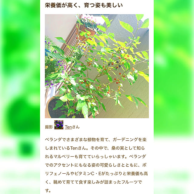 Tenさんの実例写真