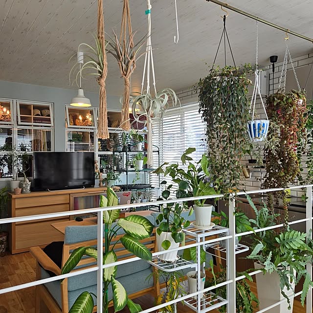 nonbiri_house_さんの部屋
