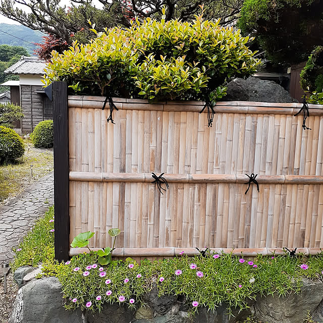 玄関/入り口/古民家暮らし/築70年/ふるいものが好き❤/和風庭園...などのインテリア実例 - 2022-05-17 08:52:32