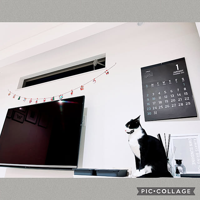 Amelieさんの実例写真