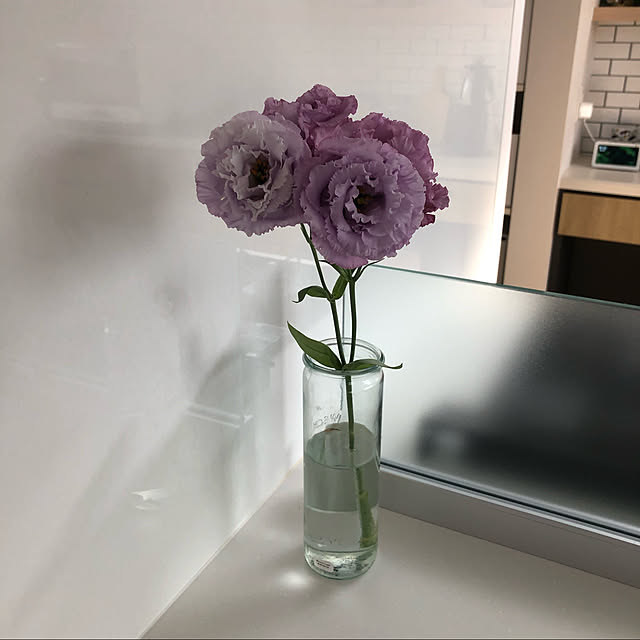 satoomiiiさんの実例写真
