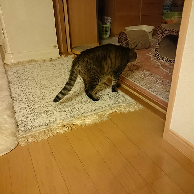 lilyさんの実例写真