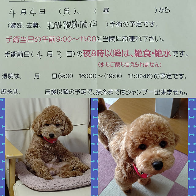yumirinさんの実例写真