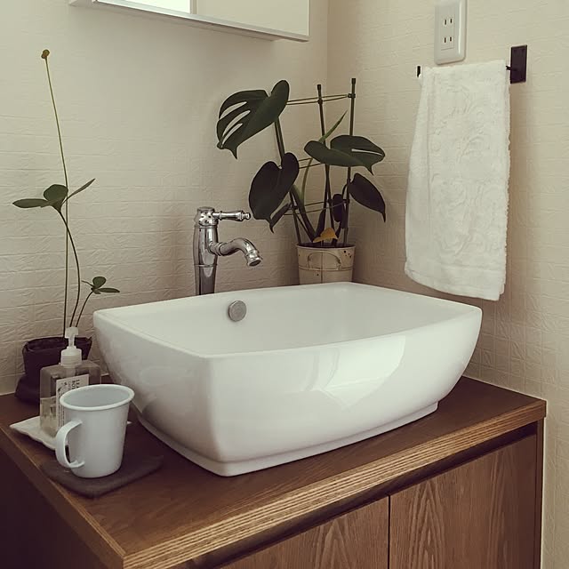 DIY/雑貨/100均/観葉植物/バス/トイレのインテリア実例 - 2016-08-31 14:20:24