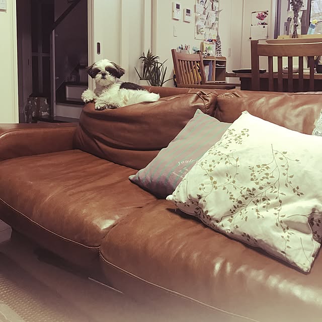 mocaさんの実例写真