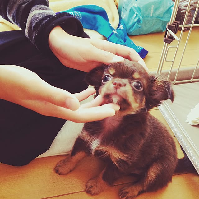 cookie_houseさんの実例写真