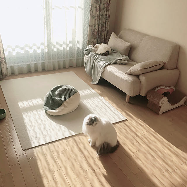 miimiiさんの実例写真